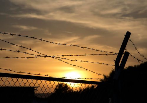 Silhouette of barbed wire fence at sunset