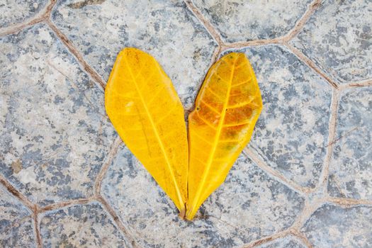 Yellow tropical plant foliage on grey stone background as love symbol