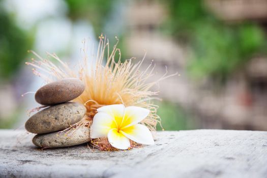 Thai eastern wellness healthy background with stones and flowers