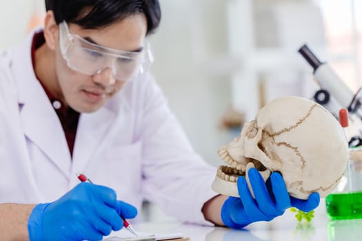 Asian Male working in Physical Scientist and Anthropology in biology science lab research study in human bone and skull.