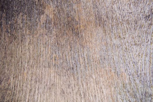 Very old dark wooden texture, can be used as a background.