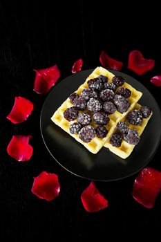 Belgian waffles with blackberries on a black background with petals of roses.