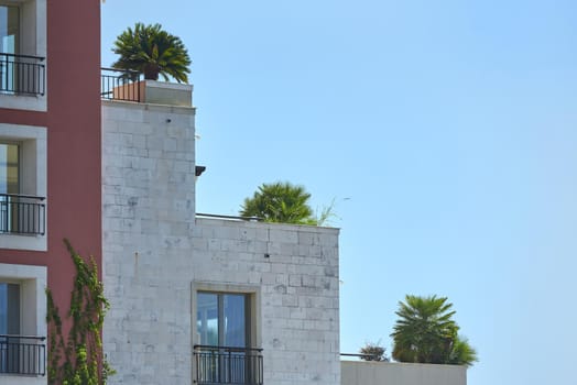 Palms and plants on the rooftop patio in Europe.