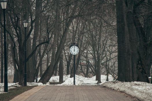 The clock on the pole at the end of the alley in the park. High quality photo