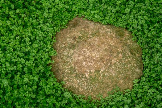 Big stone in the green grass. Natural green moss background. Top view. Copy space. Biophilic design. Organic, wild nature concept. Banner