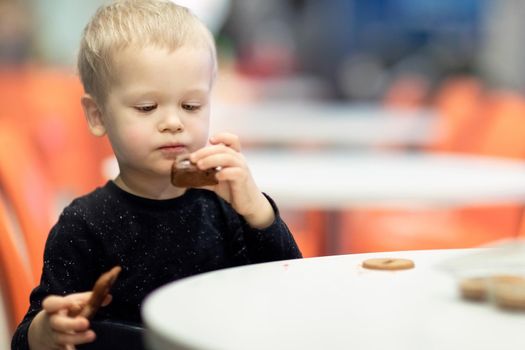 Portrait of blond elegant little boy in a black sweater, sitting at a table, in cafe, and eating a cookie.