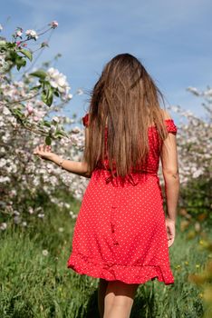 Spring concept. Nature. Young caucasian woman in red dress enjoying the flowering of an apple trees, walking in spring apple gardens