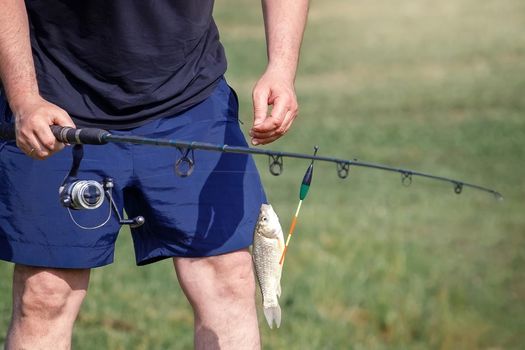 A man holds fishing rod with caught small fish in outdoor at summer time.