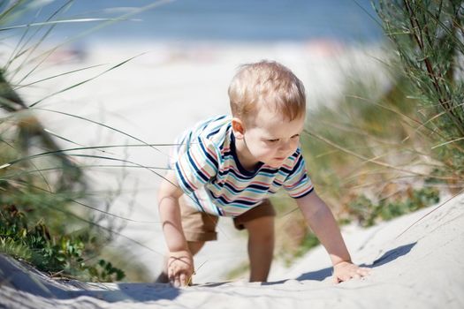 Low angle view of a little boy in a striped t-shirt, clambering through the sand dunes. A sunny, rest day by the sea. Blurred background of the beach and the sea.
