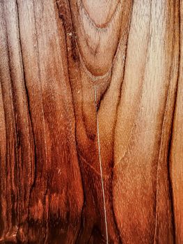 Wood texture background, natural construction material and interior design concept