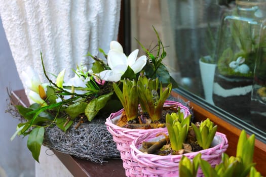 Beautiful flowers bloom on the window sill