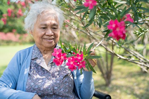 Asian senior or elderly old lady woman holding red flower, smile and happy in the sunny garden.