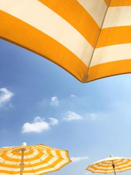 Yellow beach umbrellas on a sunny day. Bright colored umbrellas on the beach.