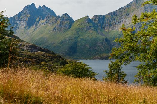 The picturesque coast of the mountain lake of Norway near the Lofoten Islands, the slopes of the mountains covered with green grass are illuminated by the sun, the purest water. High quality photo