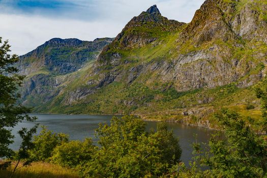 The picturesque coast of the mountain lake of Norway near the Lofoten Islands, the slopes of the mountains covered with green grass are illuminated by the sun, the purest water. High quality photo