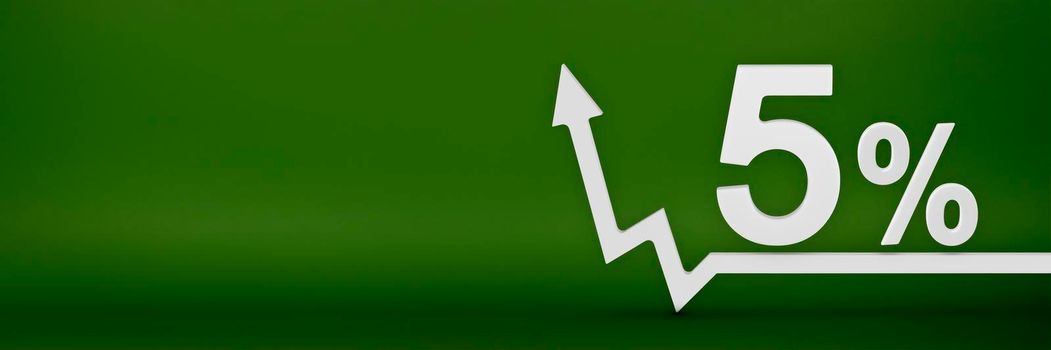 5 percent. The arrow on the graph points up. Rising prices, inflation, increase in income, increase in interest rates, taxes. 3d banner, five percent sign discount on a green background