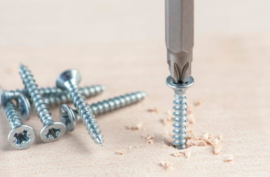 Screw the screw into the board. Furniture production, a screwdriver twists a self-tapping screw into a board. Several silver screws lie on the desktop.