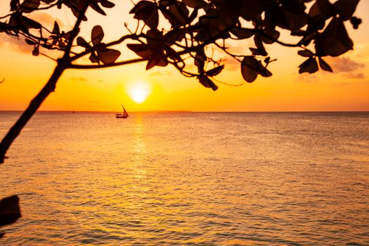 Zanzibar evening sunny ocean coast relax view