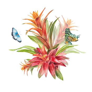 Tropical bromeliad plant with red leaves and butterflies hand-painted in watercolor. The illustration is highlighted on a white background. Spring or summer flower for weddings invitations, postcards.