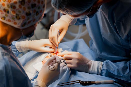 Blepharoplasty plastic surgery operation for modifying the eye region of the face in medical clinic. Surgeon makes an incision with a surgical knife