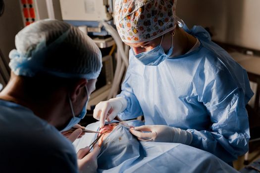 Blepharoplasty plastic surgery operation for modifying the eye region of the face in medical clinic. Surgeon sutures the eyelid