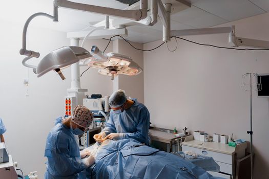 Blepharoplasty plastic surgery operation for modifying the eye region of the face in medical clinic. Surgeon makes an incision with a surgical knife