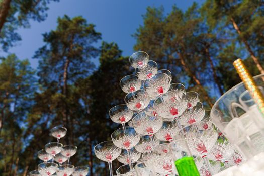 Big pyramid of glasses with champagne and red cherry inside on business meeting at summer day in the forest. Drink coctkail catering for wedding