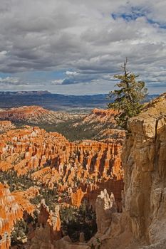 View over Bryce Canyon National Park Utah from the Rim Trail,