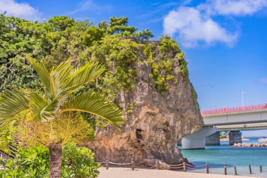 okinawa, japan - september 15 2021: Palm tree on the sandy beach Naminoue topped by a huge rock with a Shinto Shrine at the top of a cliff and a highway passing in Naha City in Okinawa Prefecture, Japan.