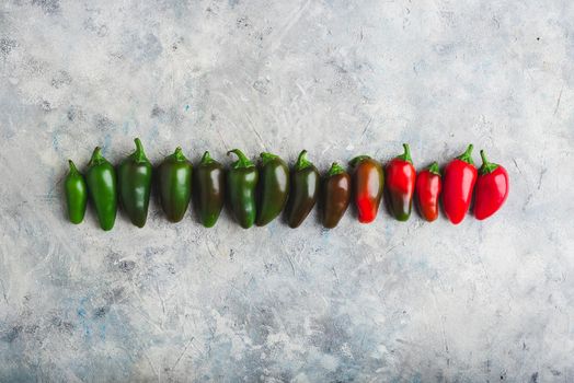 Gradient Row of Jalapeno Peppers on Gray Concrete Background. View from Above