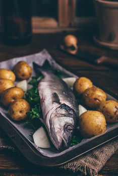 Fresh Sea Bass Stuffed with Sorrel Ready for Baking with New Potatoes and Onion