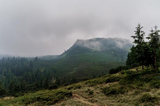 Dusk in the mountains before a storm and a thunderstorm on a rainy and foggy day. Severe weather conditions. Peaks of the Carpathian Mountains.