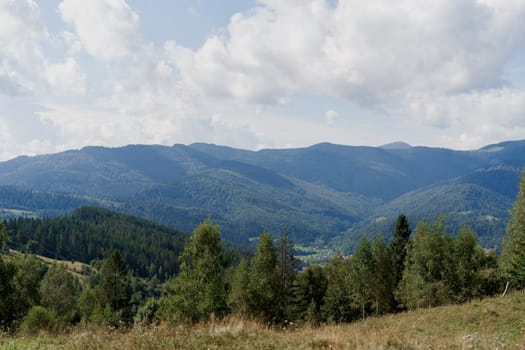 Tourism in our country. Green mountains landscape with spruce in Karpathians mountains. Beautiful nature of Ukraine. Unity with nature.