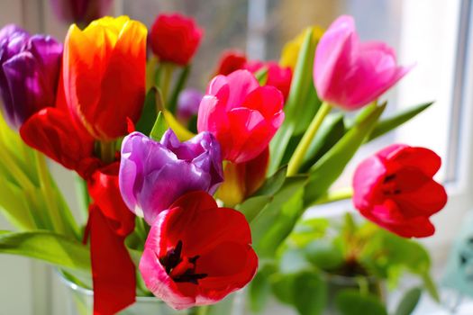 Bouquet of flowering tulips in a vase on the window