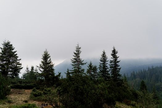 Dusk in the mountains before a storm and a thunderstorm on a rainy and foggy day. Severe weather conditions. Peaks of the Carpathian Mountains.