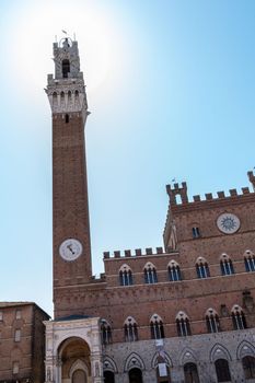 Siena Torre del Eat in Piazza del Campo in the center of the city of Siena