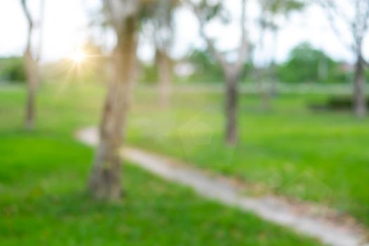 Blur nature bokeh green park by beach and tropical coconut trees in sunset time.