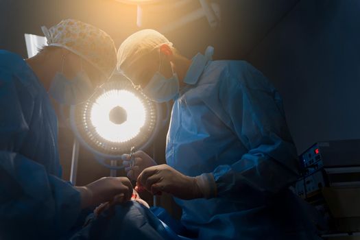 Blepharoplasty plastic surgery operation for modifying the eye region of the face in medical clinic. Surgeon sutures the eyelid.