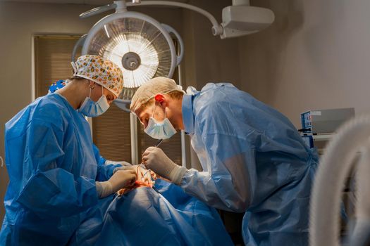 Lipofilling surgery operation. 2 surgeon do plastic surgery named blepharoplasty in medical clinic. Surgeon makes an incision with a surgical knife