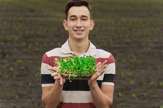 Vegeterian microgreen with soil in hands. Man holds green microgreen of sunflower seeds in hands and smiles. Healthy vegan food delivery. Happy vegan
