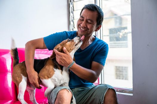 A man petting his dog beagle, pet friendly love concept