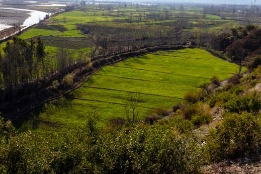 Beautiful scenery of lush green fields high angle view from hill