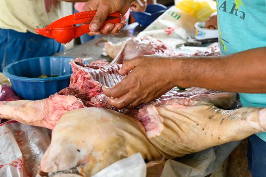 Preparation and dressing of a small suckling pig to cook over a wood fire