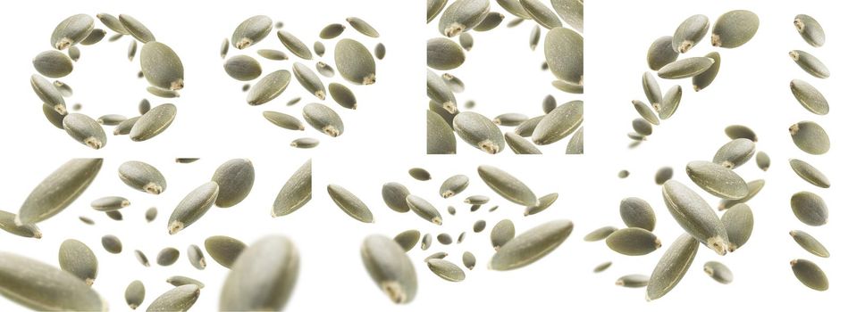 A set of photos. Peeled pumpkin seeds levitate on a white background.