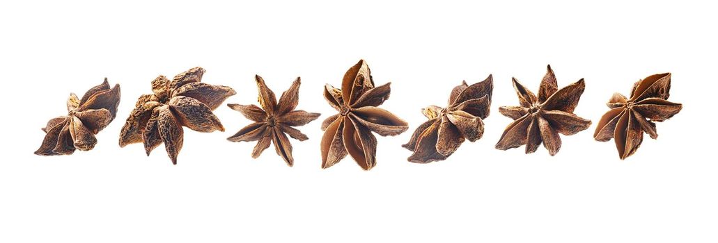 A set of anise stars. Isolated on a white background.