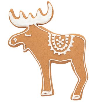 Gingerbread moose isolated on a white background close up