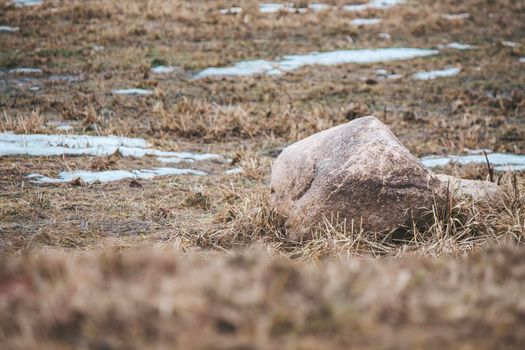 A large stone lies on muddy ground between patches of snow. High quality photo