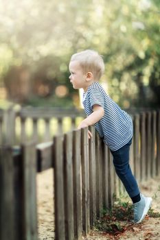 Little boy climbing over wooden fence into a garden. Kids playing in nature concept