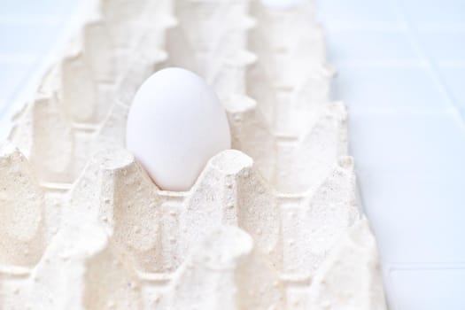 an oval or round object laid by a female bird, reptile, fish, or invertebrate, usually containing a developing embryo.One white egg in a cardboard tray on a white background.