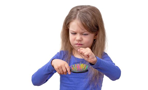 Isolated caucasian little girl of 5-6 years with long hair pulling out hair from brush on white background in blue